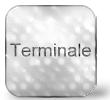 Emulatory terminali