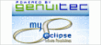 MyEclipse Professional subscription
